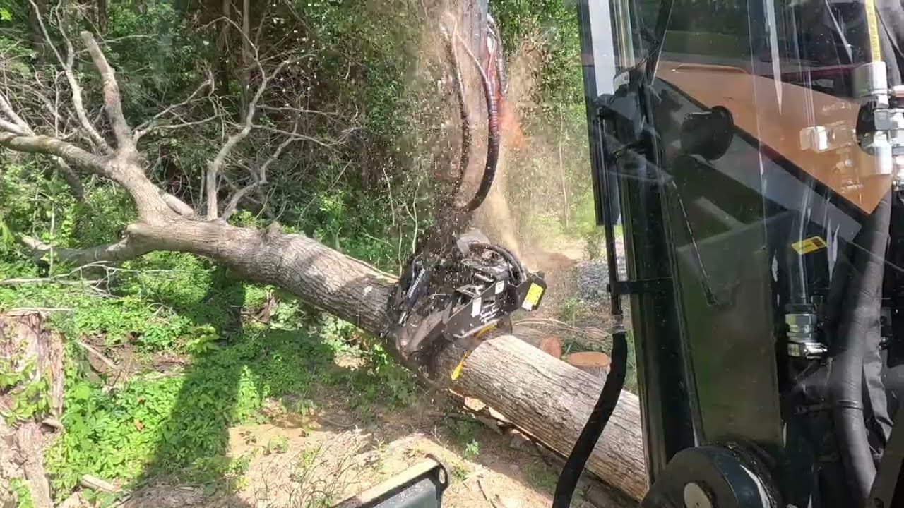 Rotobec grapple saw is a moneymaker in the tree world 💪🏻