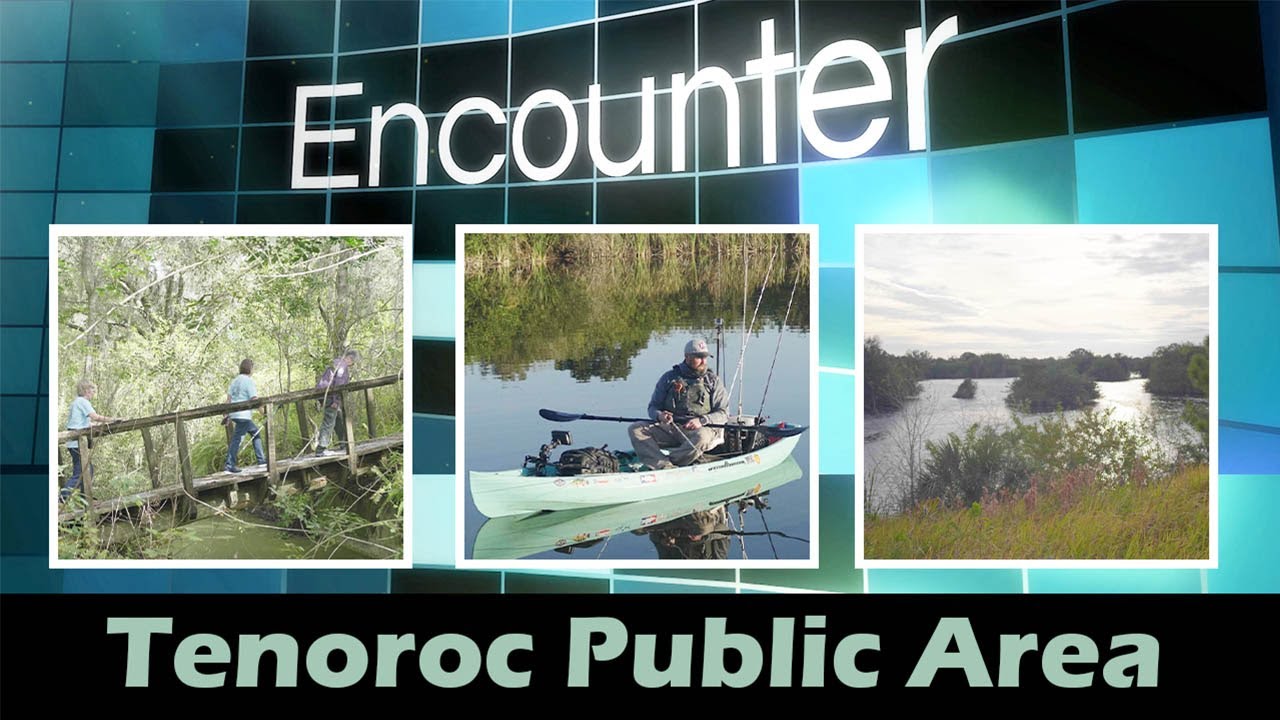 Encounter Tenoroc Public Area