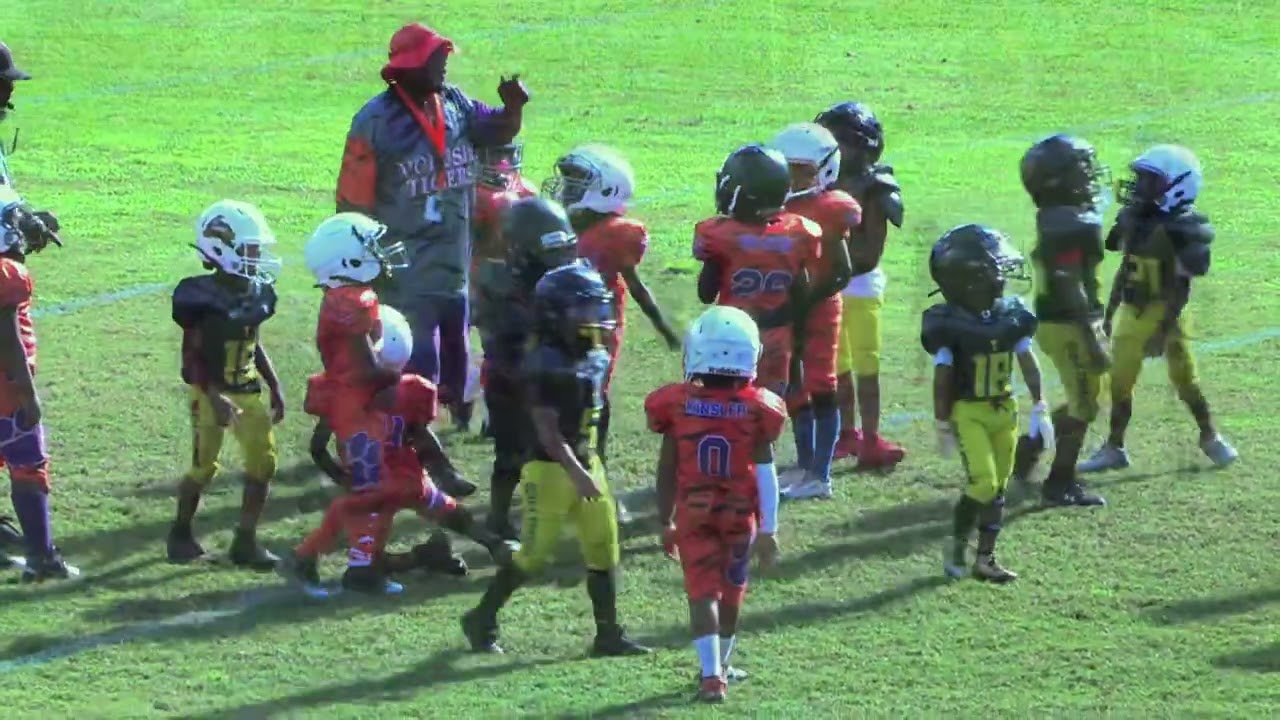 6u Ocala Thunder vs 6u Volusia Tigers 