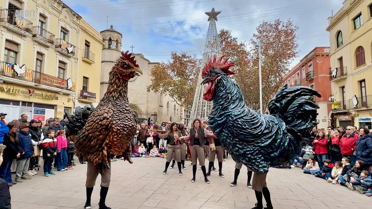 XXVIIIa Mostra Bestiari Festiu de Ploma - BALLS de Lluïment - 361a Edició Fira Gall - Episodi nº3