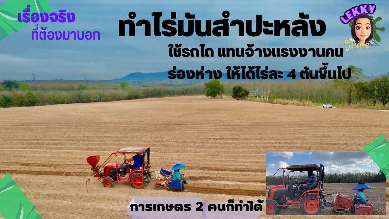 ปลูกมันแบบใช้รถไถเข้าร่อง แทนการจ้างแรงงานคน ร่องห่าง ปลูกอย่างไรให้ได้เกินไร่ละ 4 ตัน