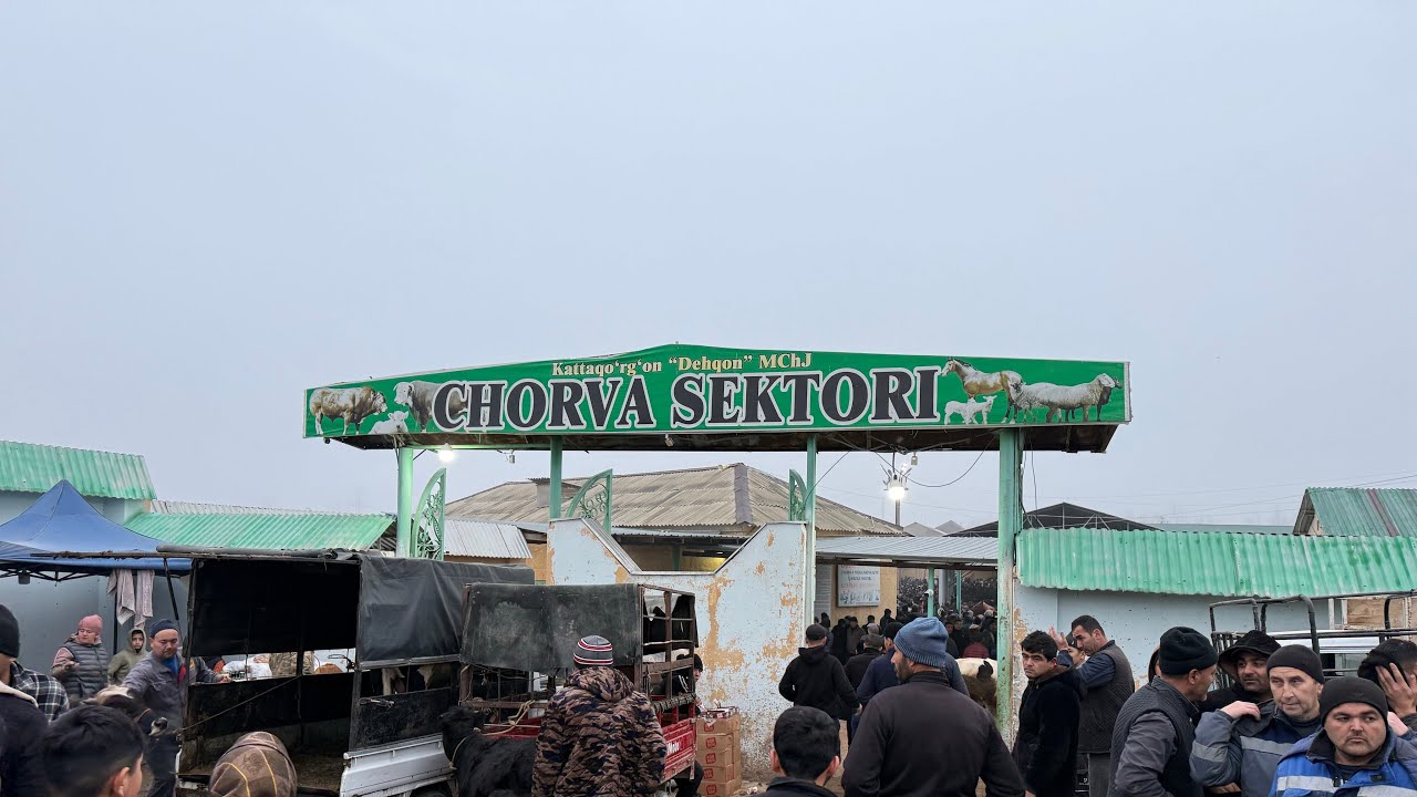 CHORVA MEDIA UZ в прямом эфире!