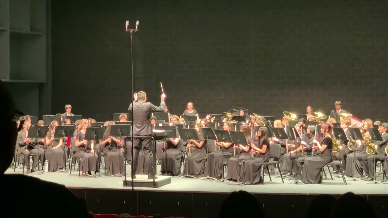 Honor Band 26
