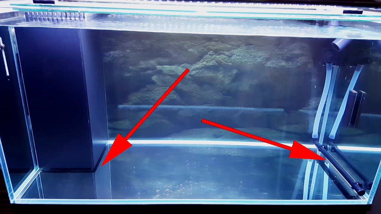 Automatic Bottom Sweeper for Bare Bottom Tank. DIY Dual Overflow