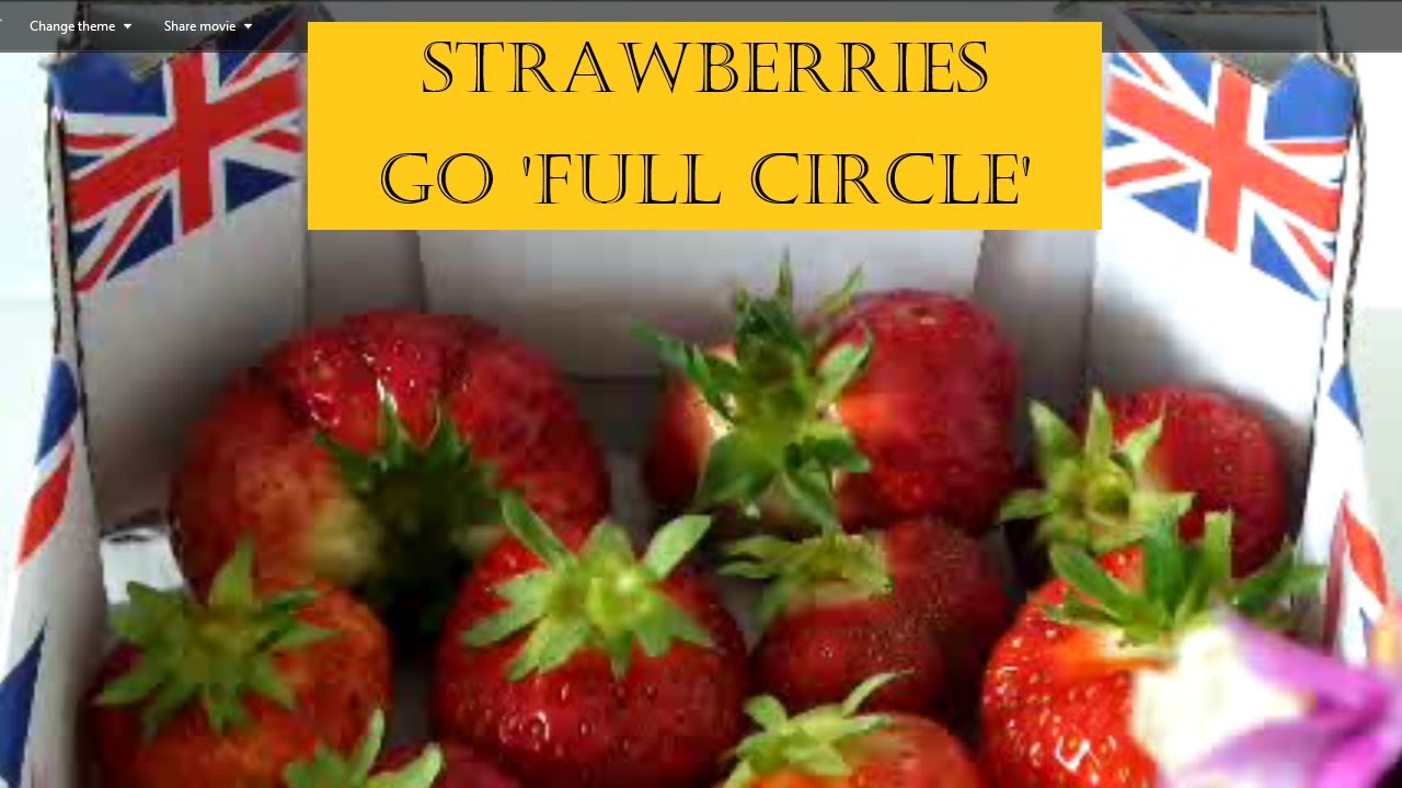 Grow Strawberries.  Strawberries go full circle. Bare root plants, the first 12 months.