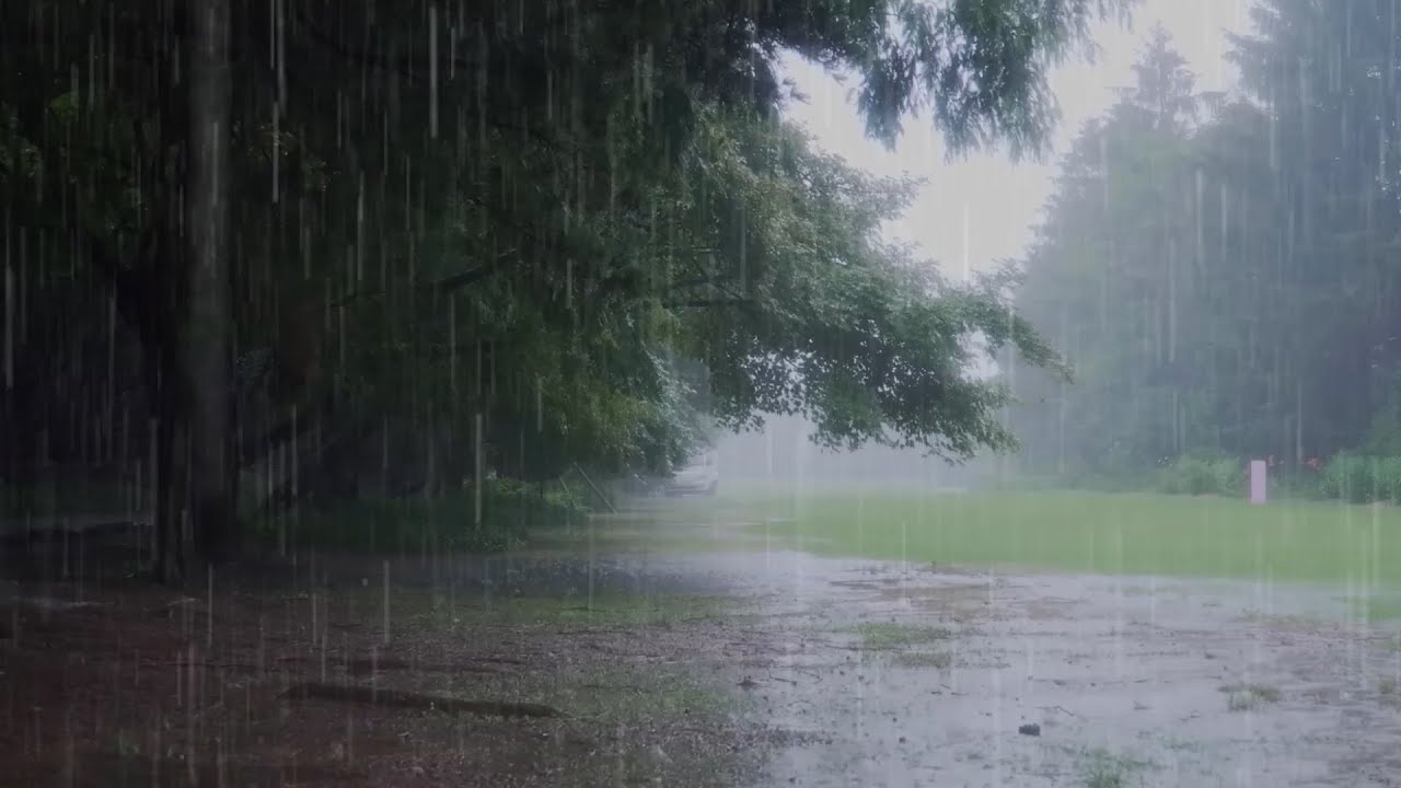 Relajante sonido de la lluvia - Sin anuncios para dormir - Reduce el estrés, la fatiga
