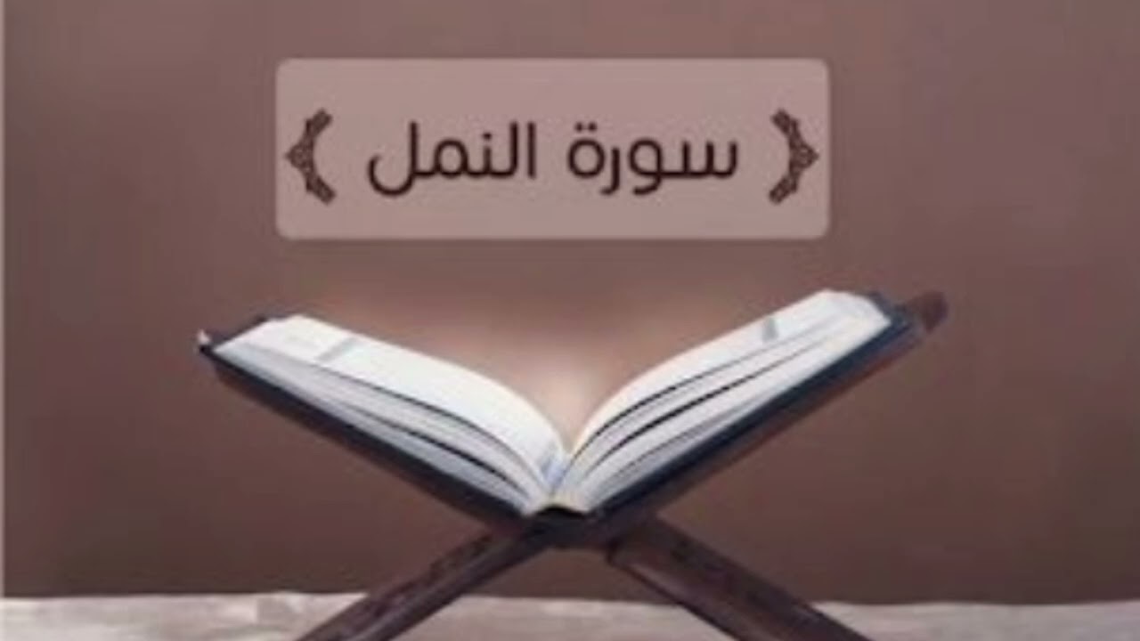 ما تيسر من سورة النمل القارئ الشيخ محمد بن فايز 