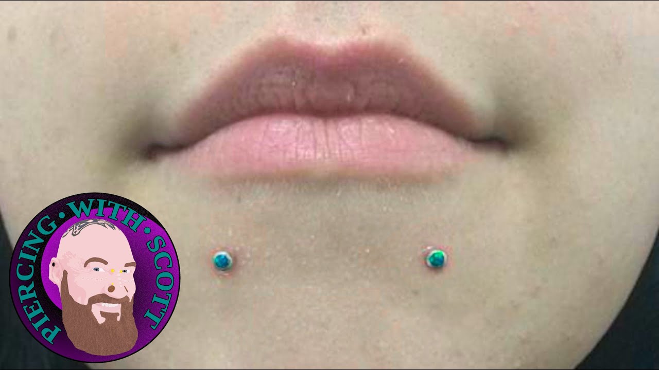 The Whole Truth - Lowbret Piercing