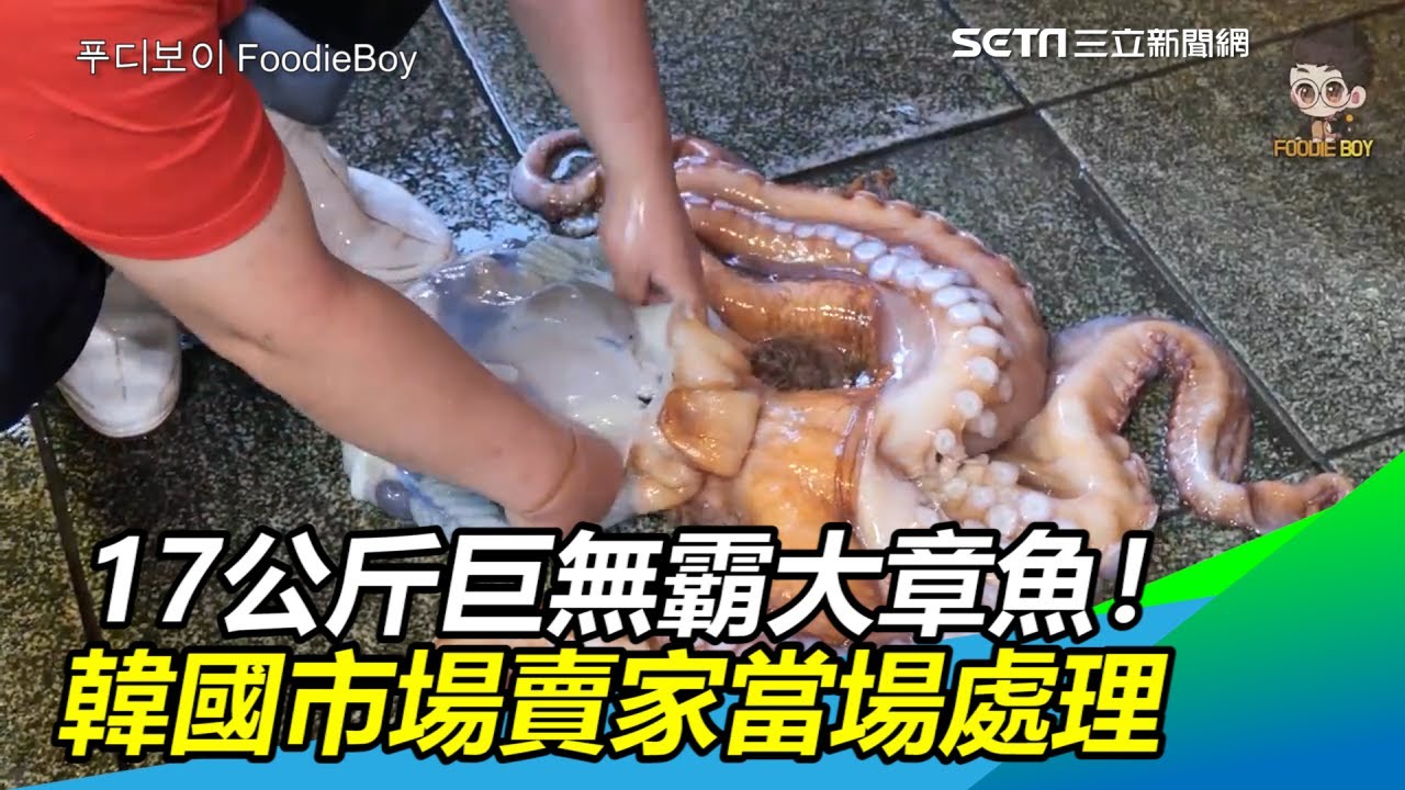 17公斤巨無霸大章魚怎麼吃？　韓國市場賣家現場處理｜三立新聞網SETN.com