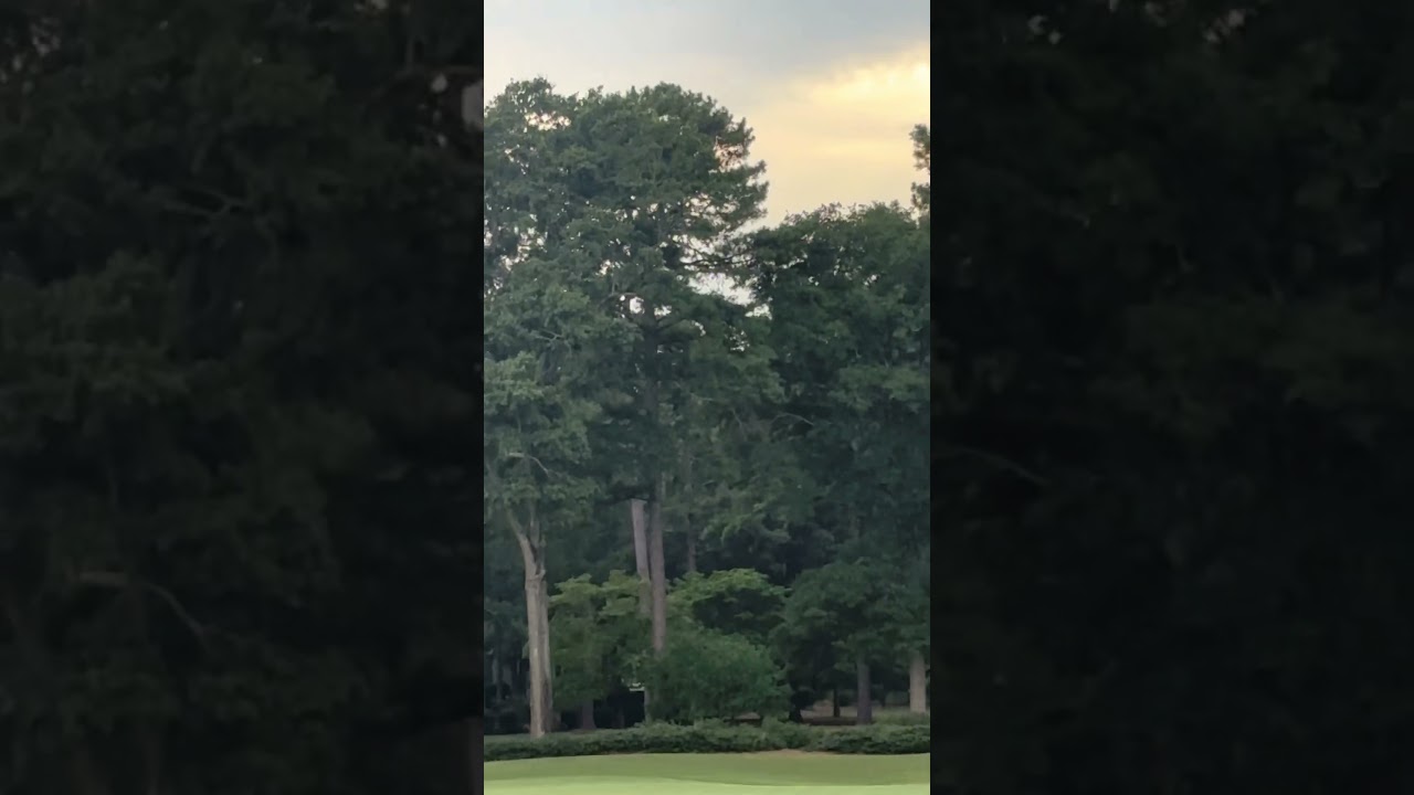 Round at great waters golf course
