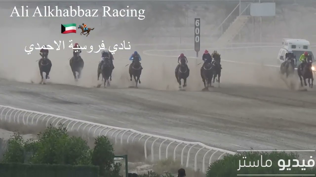 الشوط الخامس ( عز ضرغام ) اسطبل البرازي ،، ابن الفحل اكسيد اند اكسل