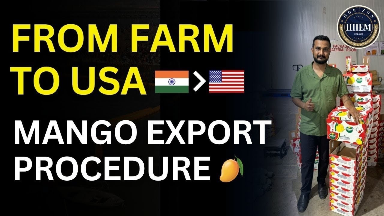 Farm to USA 🇺🇸 Complete Mango Export Process Explained Step-by-Step By Sagar Agravat