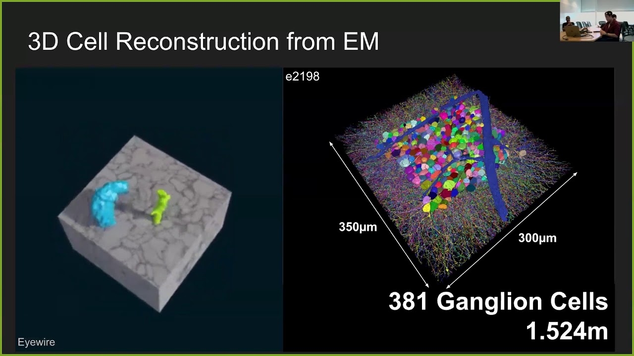 Eyewire Cell Paper Science Hangout