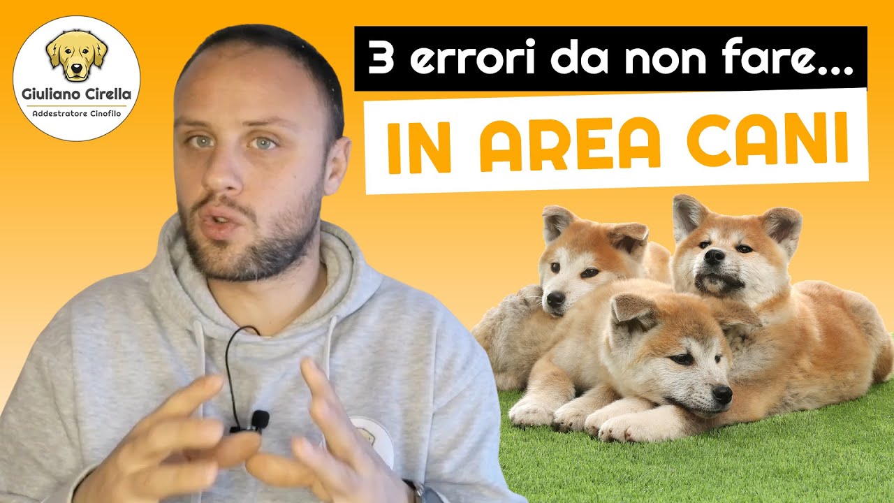 🐶 Area Cani: 3 Errori da Evitare per una Corretta Socializzazione | Giuliano Addestratore