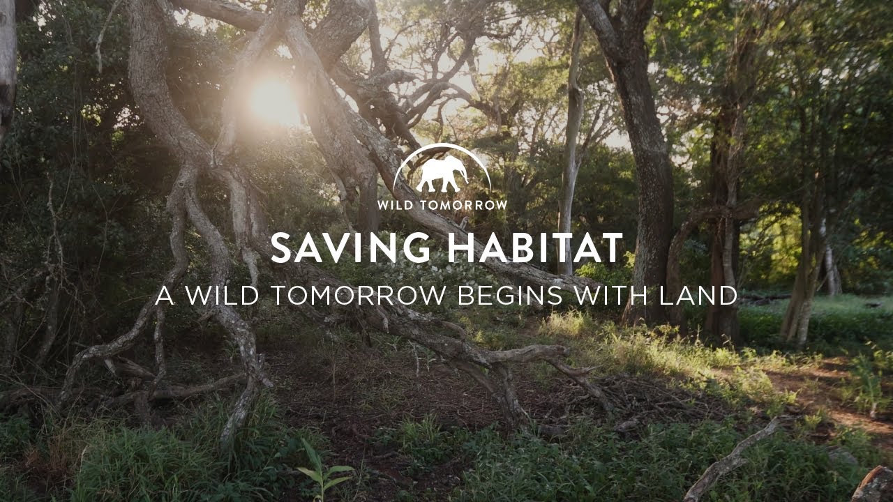 World Environment - Habitat Loss