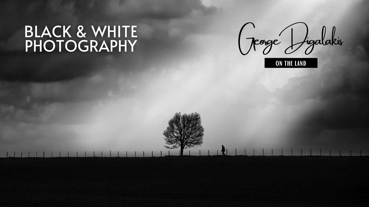 Black and White Photography | 