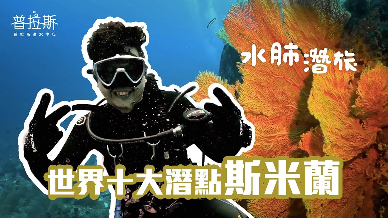2024跟普拉斯一起去潛旅｜世界十大潛點泰國斯米蘭船宿體驗！Richelieu Rock 魚群風暴