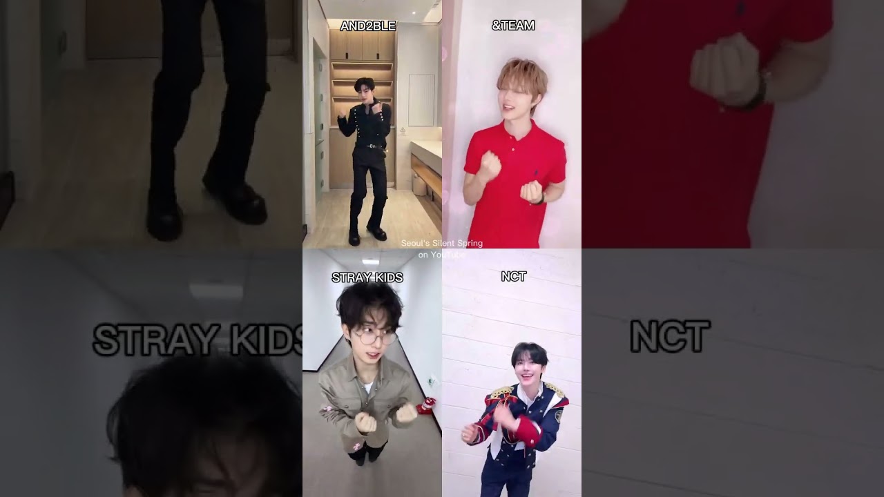 Which one is your fav❓️#straykids #andteam #nct #and2ble #explore #viral #fyp