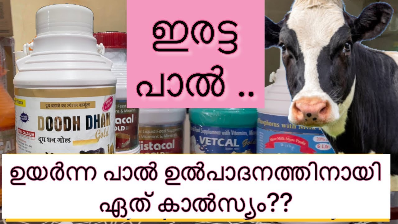 ഉയർന്ന പാൽ ഉൽപാദനത്തിനായി ഏത് കാൽസ്യം| Feed supplement for animals