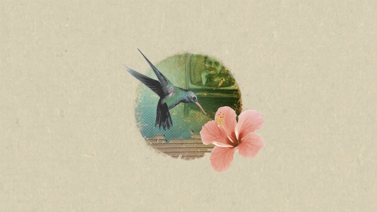 Knapsack &bull; The Complete Discography (Available February 3rd)