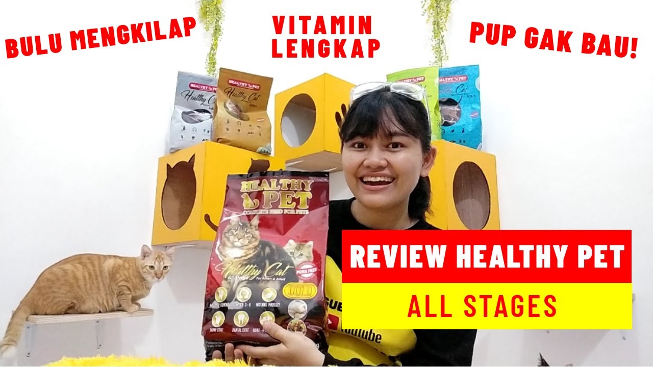 REVIEW MAKANAN KUCING HEALTHY PET ALL STAGES BIKIN BULU MENGKILAP PUP GAK BAU | MY CATS DIARY