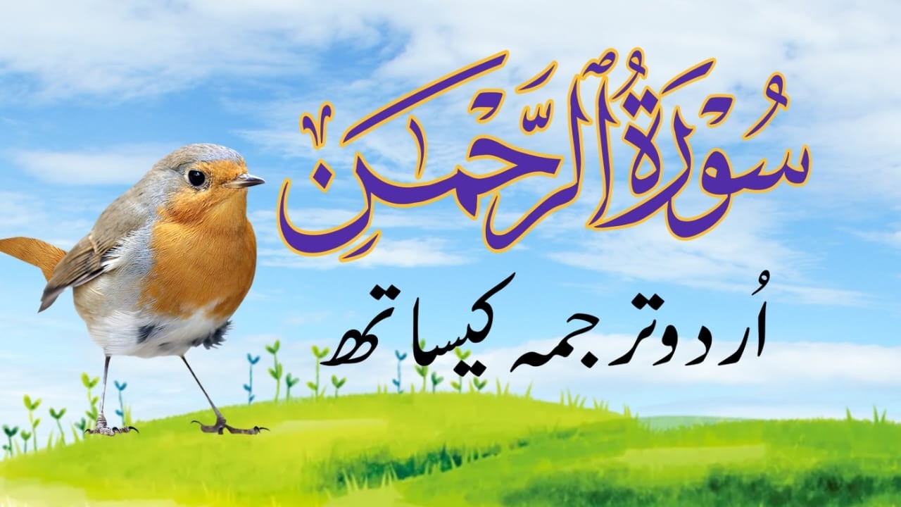 Surah Rahman Full Tilawat | سورہ الرحمن | Beautiful & Heart Touching Recitation | Miftah ul Quran