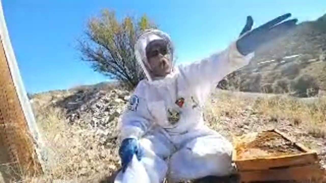 Tenacious Bee!