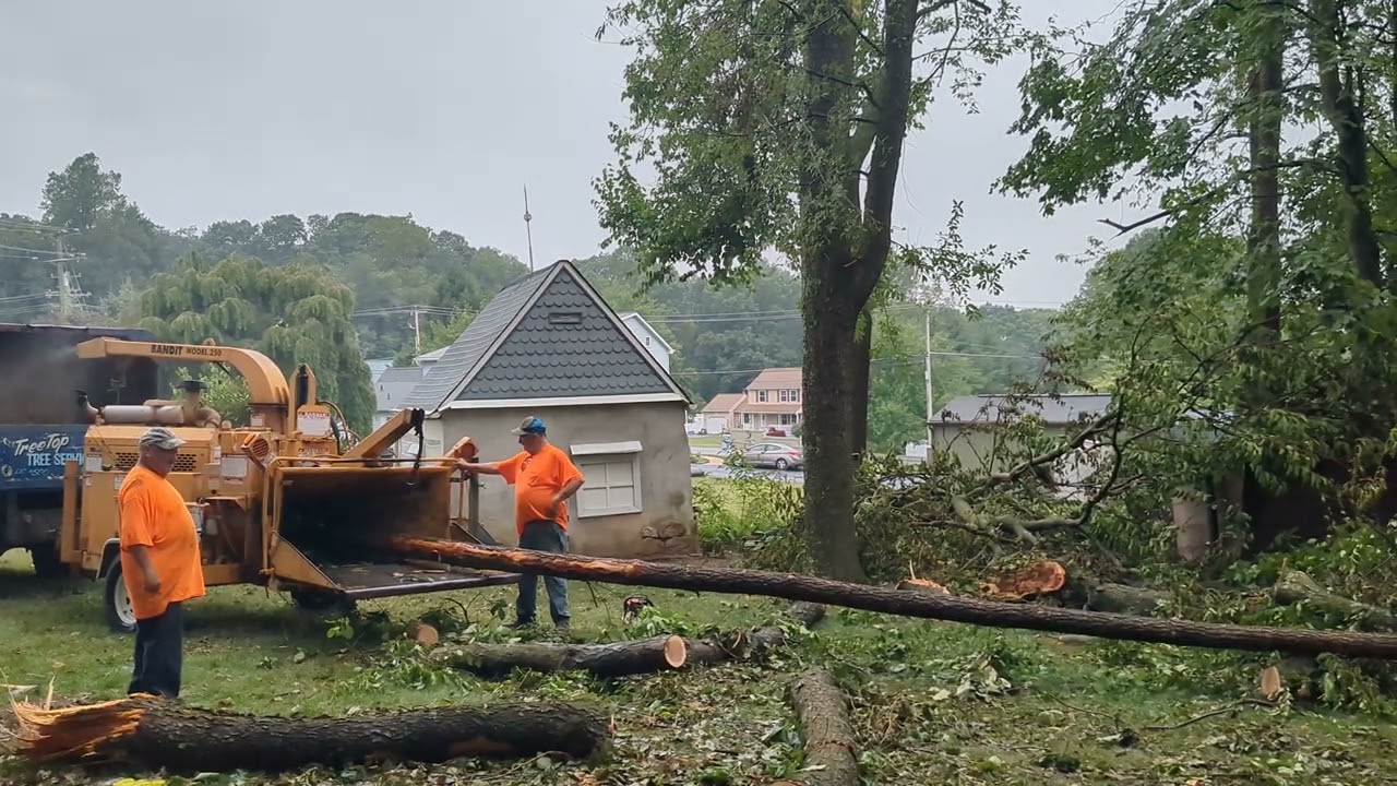 Storm damage cleanup: Winching a tree into the chipper. #treetrimming