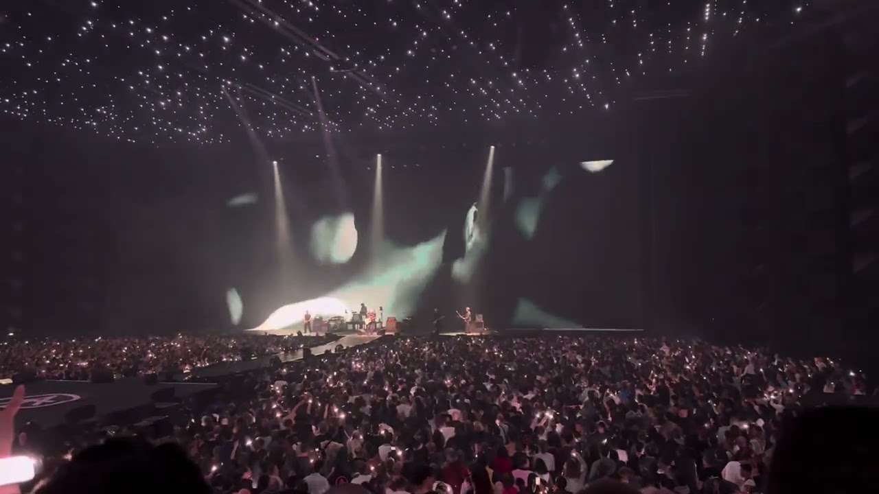 INDOCHINE - ARENA TOUR - ARKEA ARENA BORDEAUX - « LE CHANT DES CYGNES » - 2025/03/05