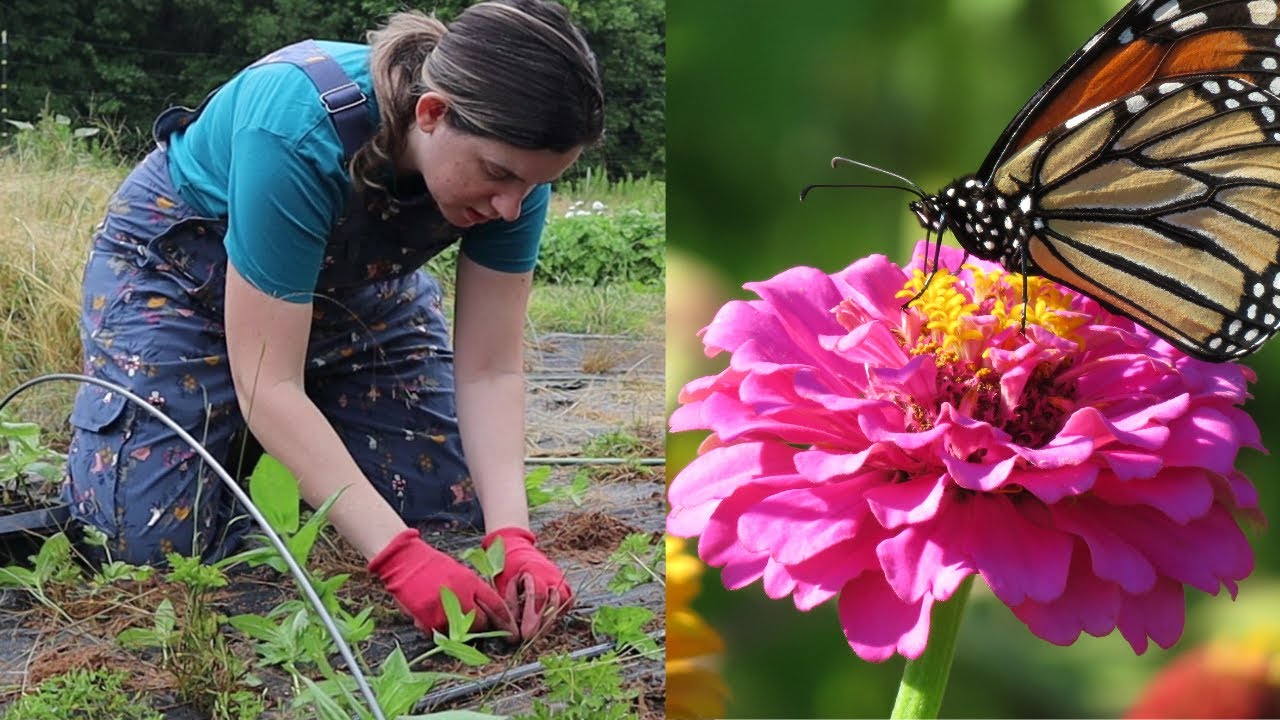 Flower Farm Clean up and Planting! Living on a Prayer Flower Farm