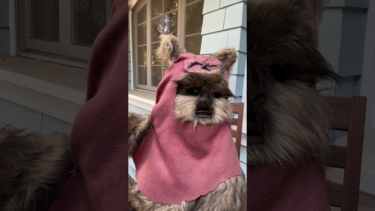 Getting an Ewok to say the thing...