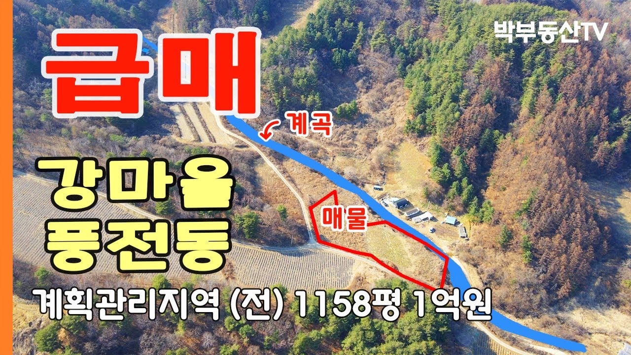 [4016] 급매 강마을 풍전동 전원주택지 계획관리지역 (전) 1158평 1억원 - 박부동산TV