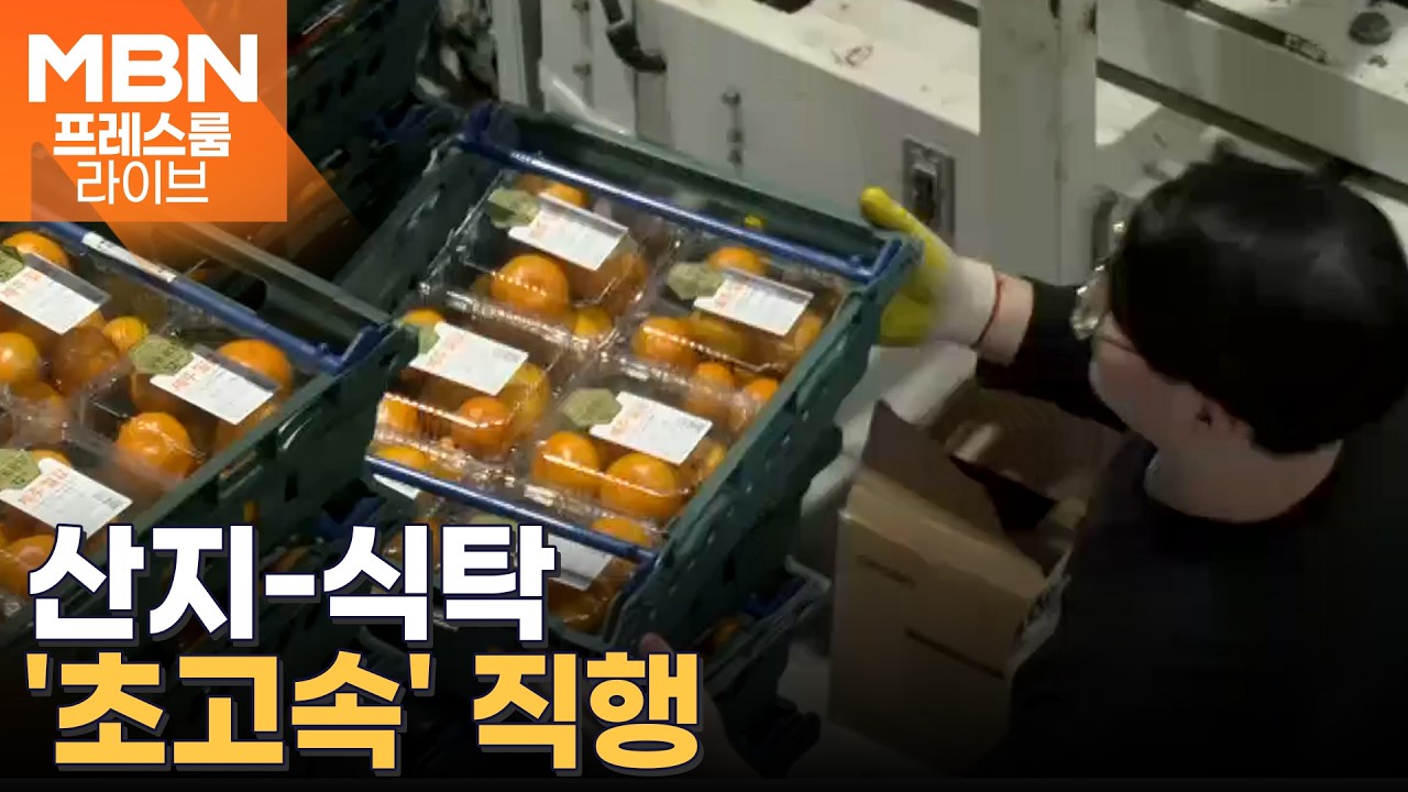 제주서 수확한 귤, 밥상에 오르기까지 과정은? [프레스룸 농식품뷰]