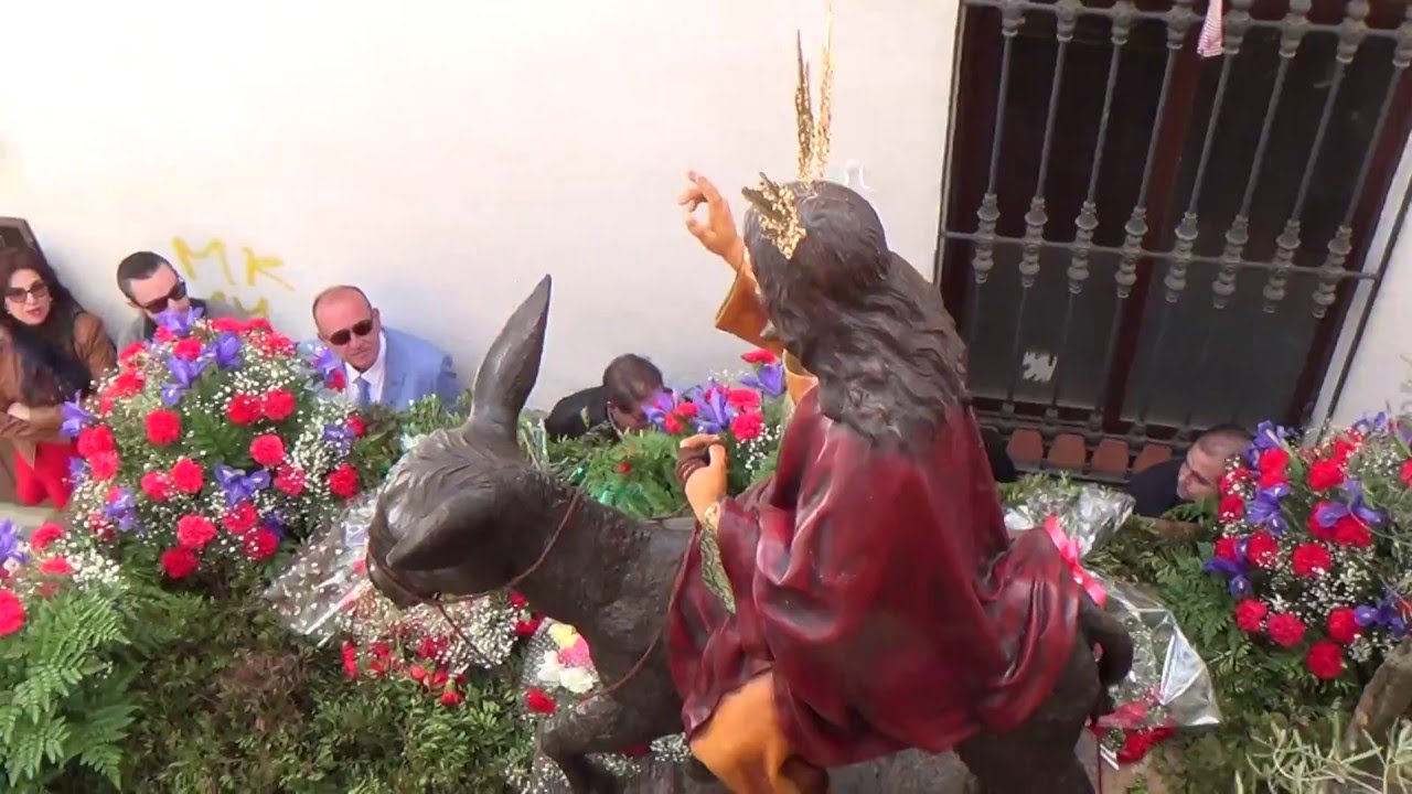La Borriquilla 2016 | La Carolina (Jaén) en C/ Plaza HD