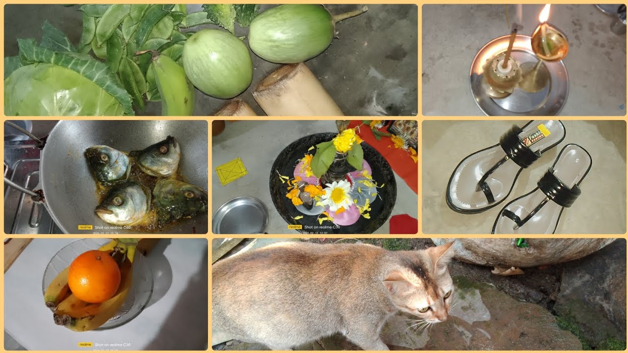 মাছের গন্ধ পেলেই হাজির হয়ে যায়।❤️😹😺#homevlog #lifestyle #vlog #lifestylechannel 