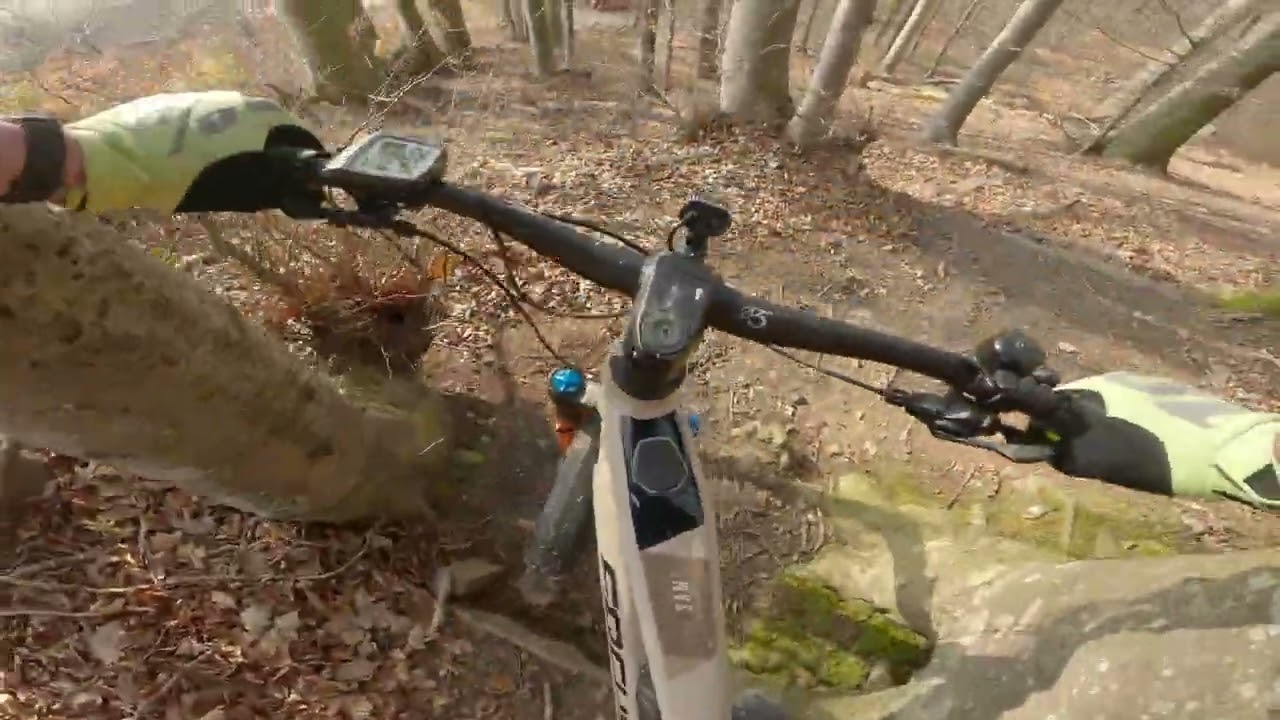 Training und Bike Check Focus SAM2 6.9 2022