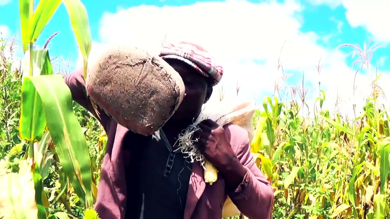 Matumbu Special- Kuteya Gudo Hakunetsi