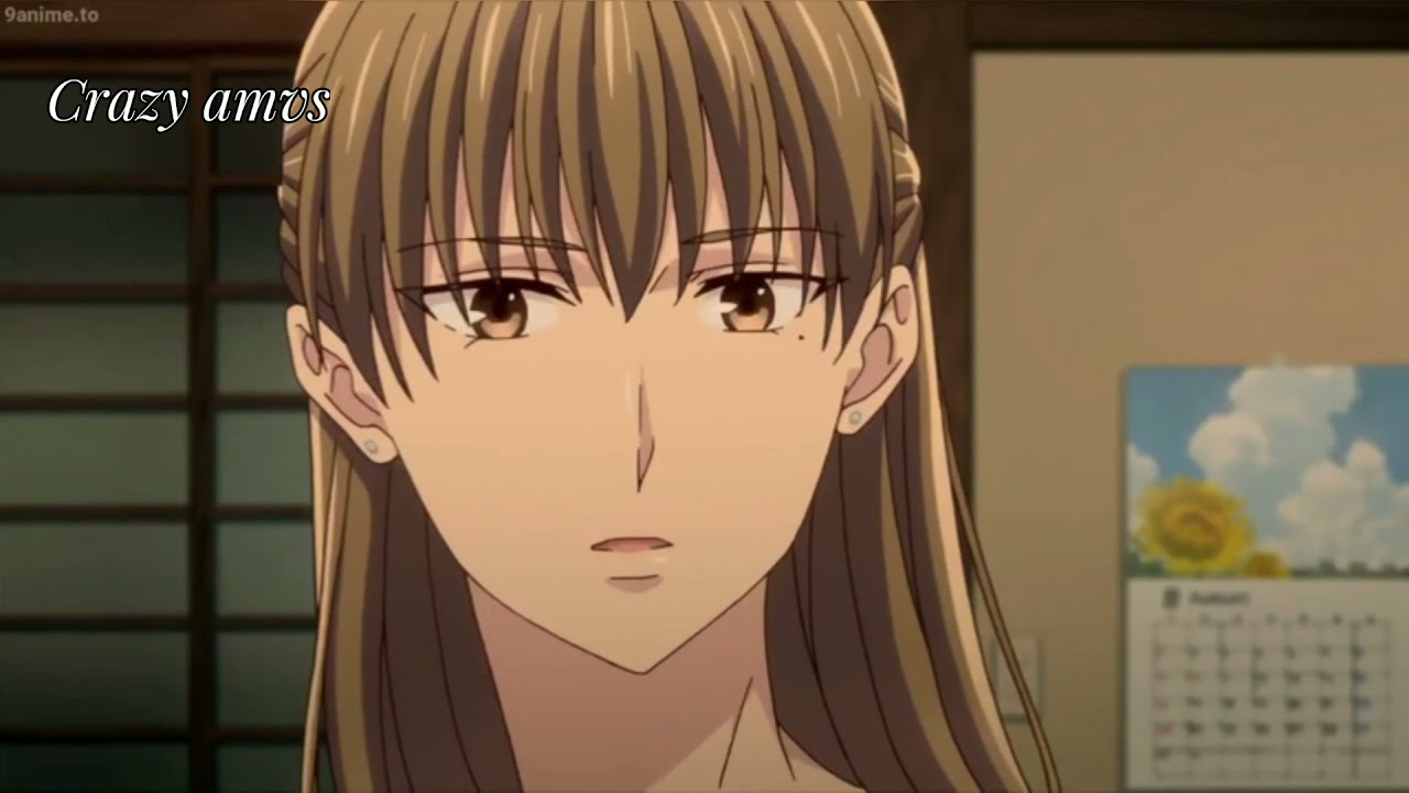 FRUIT BASKET|Hindi [AMV] Hang over