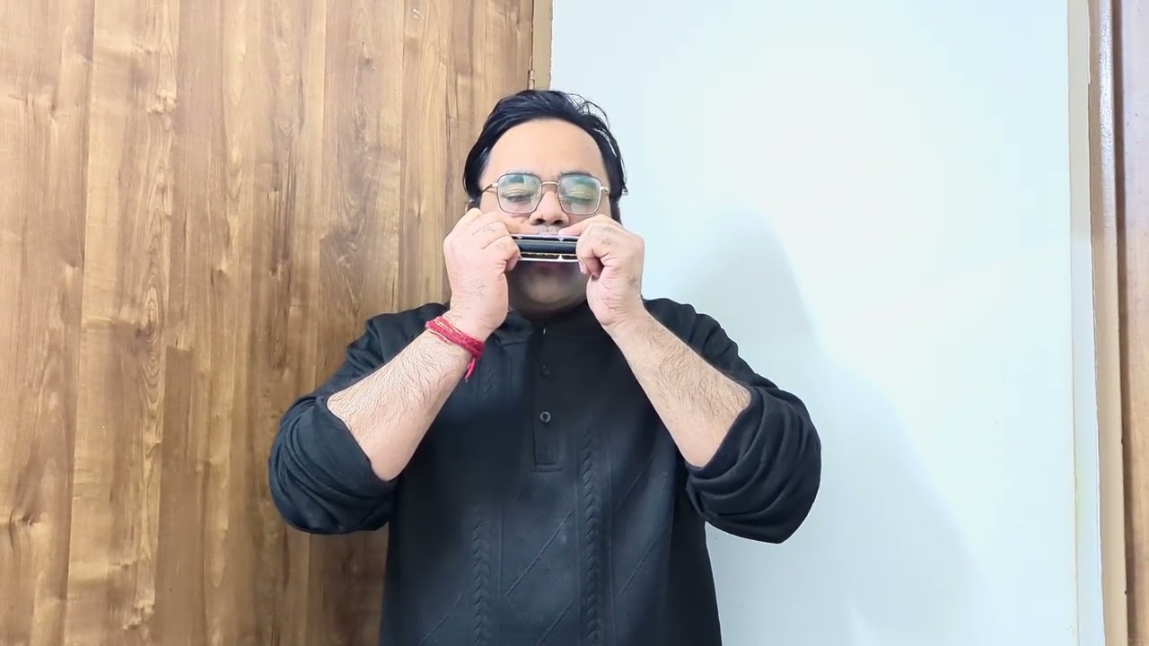 Frank Sinatra’s“My Way”on harmonica🎶❤️This tune never ages#harmonica#harmonicamusic #harmonicatunes 