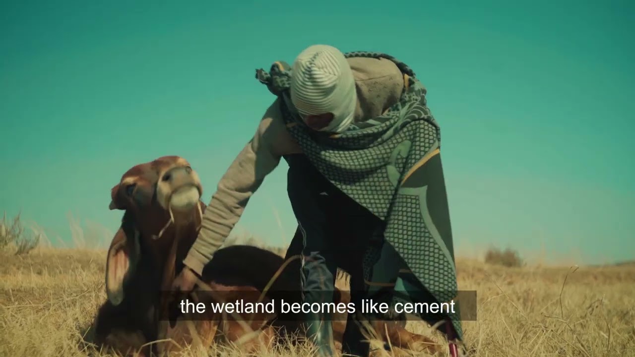 South Africa - Guardians of the Wet Lands