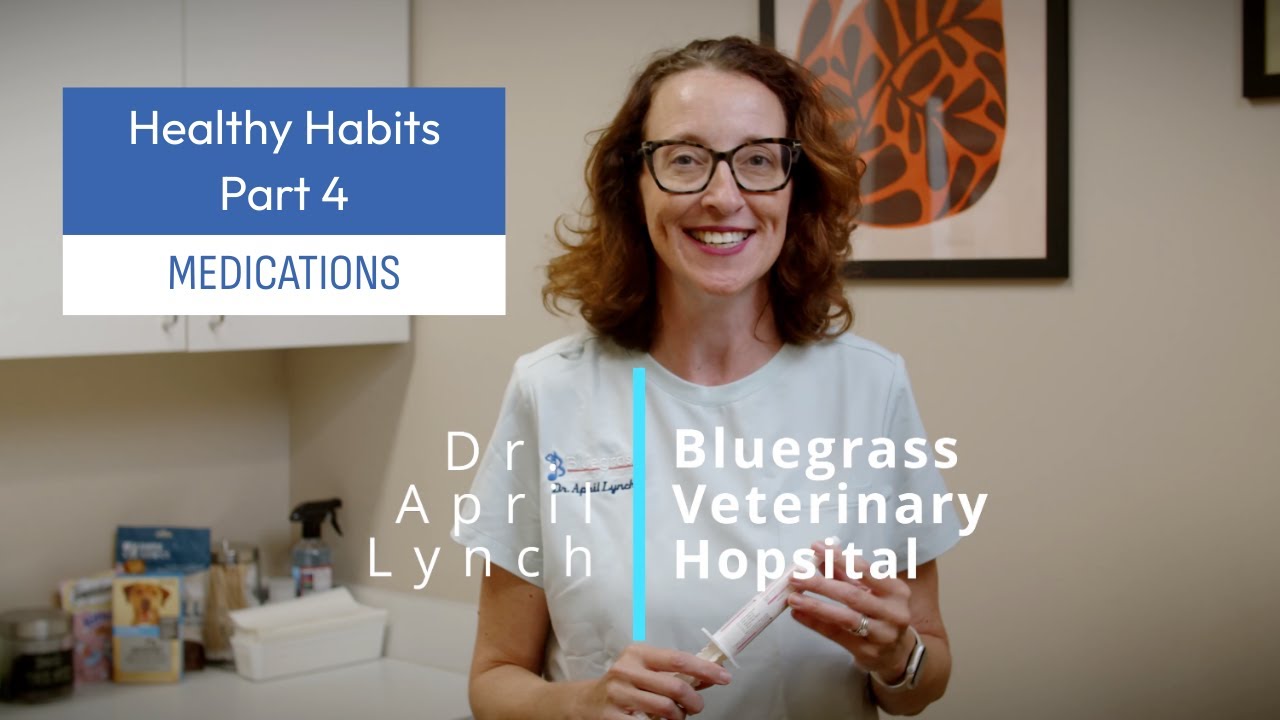 Part 4: Giving Medications to Pets  |  Healthy Habits of the Diligent Pet Owner 🐾