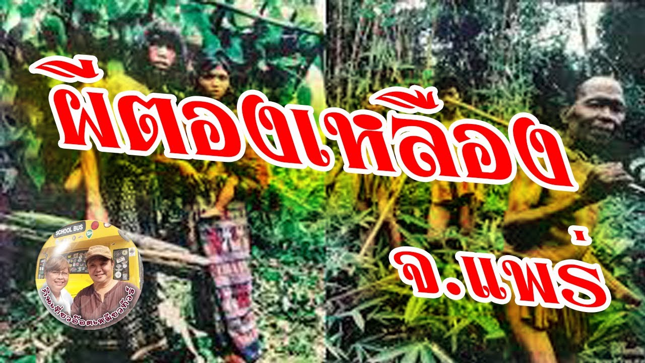 ผีตองเหลือง จ.แพร่