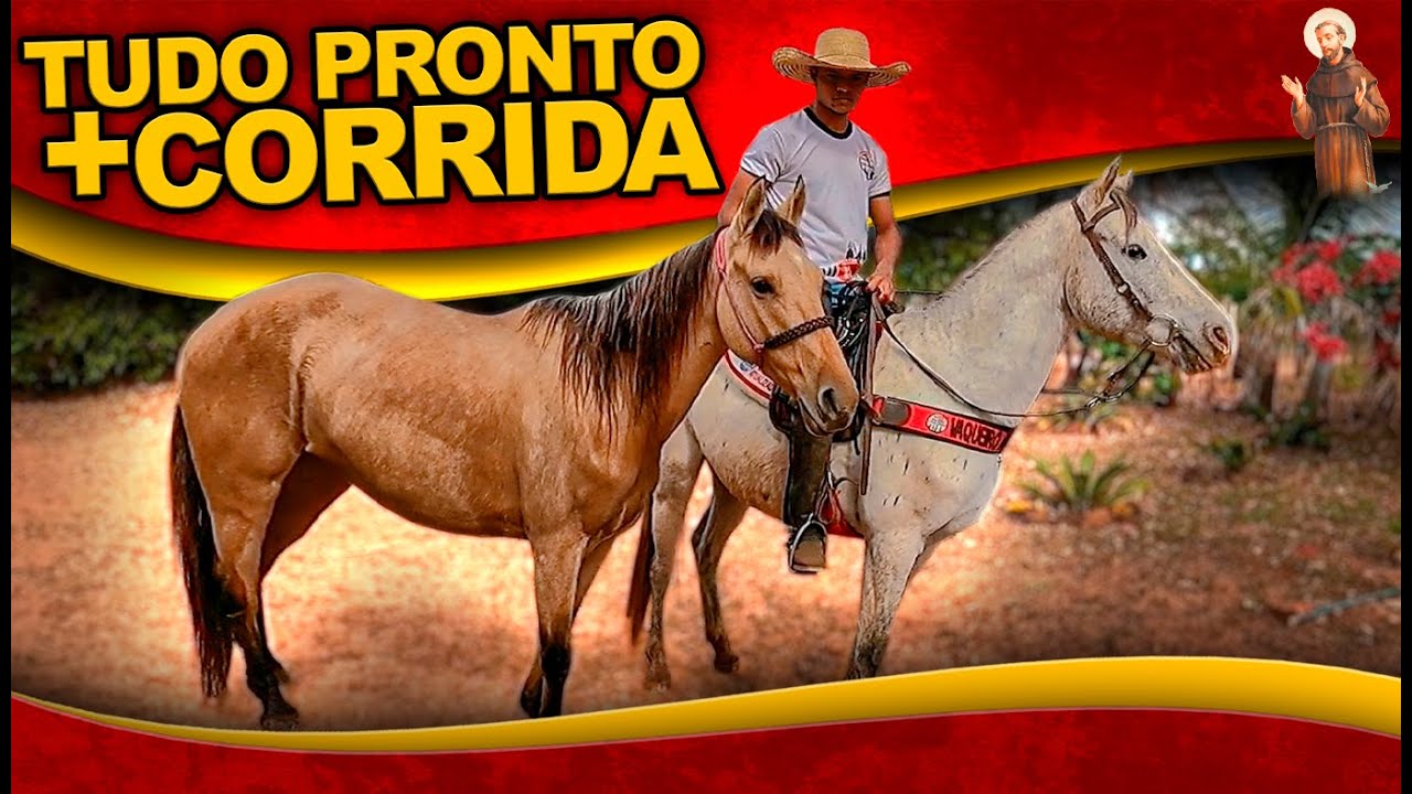 Vamos para + Corrida de cavalo - Levando égua Diana -