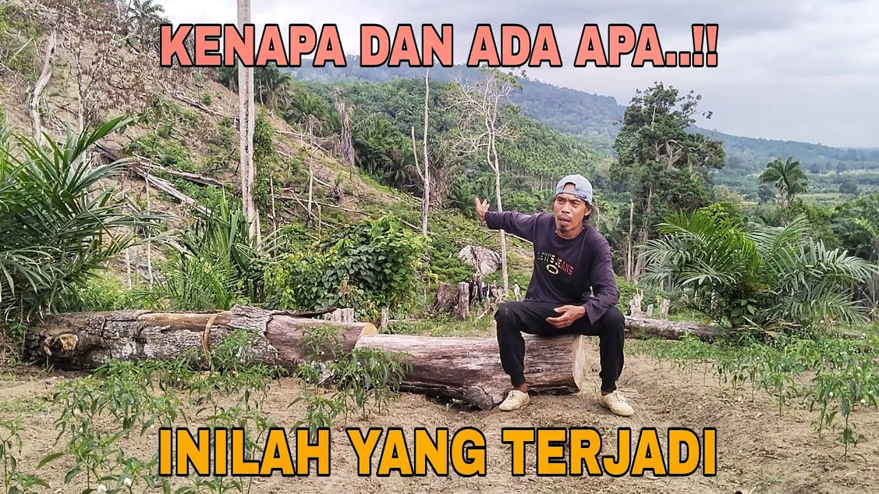 KENAPA DAN ADA APA..!! INILAH YANG TERJADI
