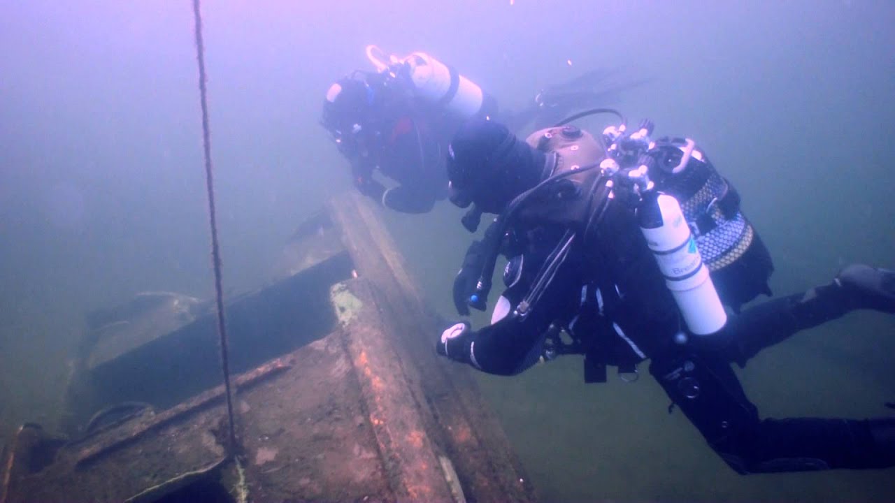 All seen in one 40 min dive at Wraysbury Dive Centre.