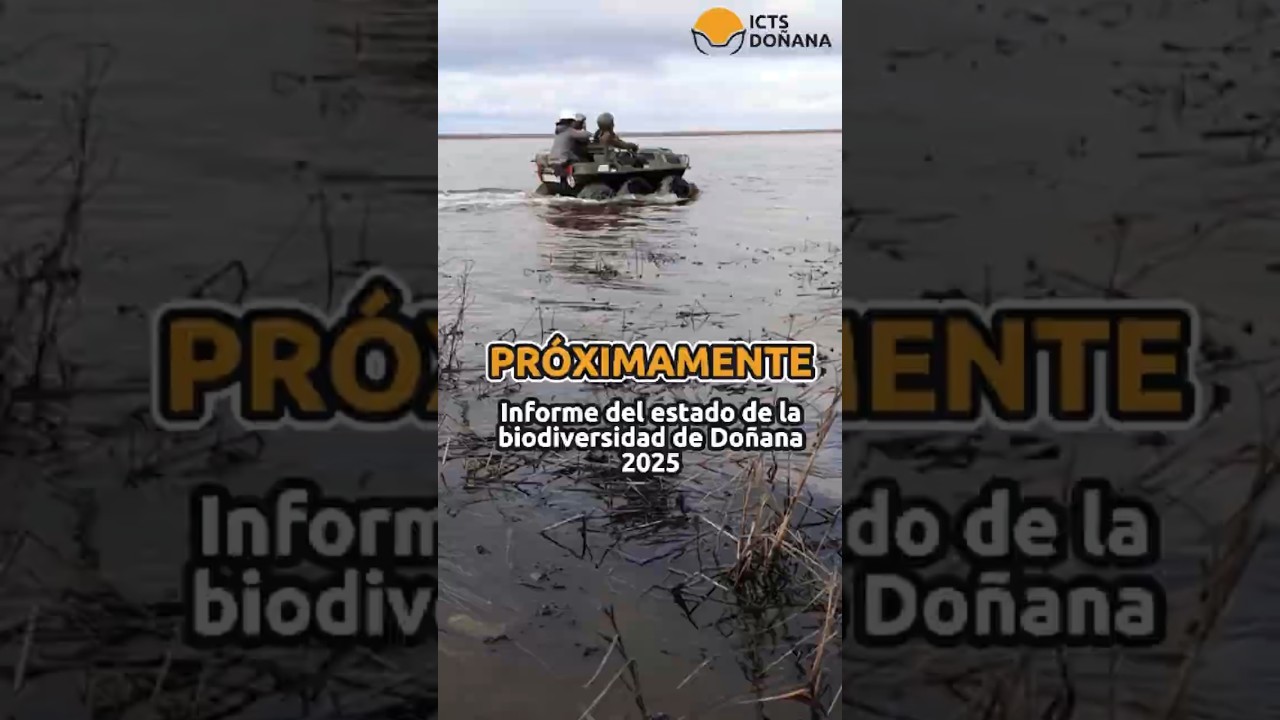 ICTS DOÑANA | Próximamente. Informe del Estado de la Biodiversidad de Doñana 2025