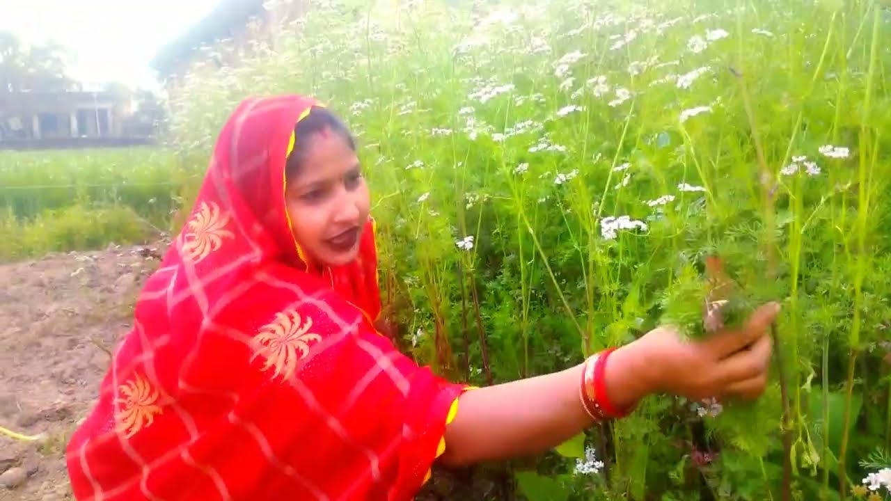 सुमन कहां घूमने गई हैं, खेत में क्या क्या बोया गया है। #ब्लॉग #ब्लॉगवीडियो 