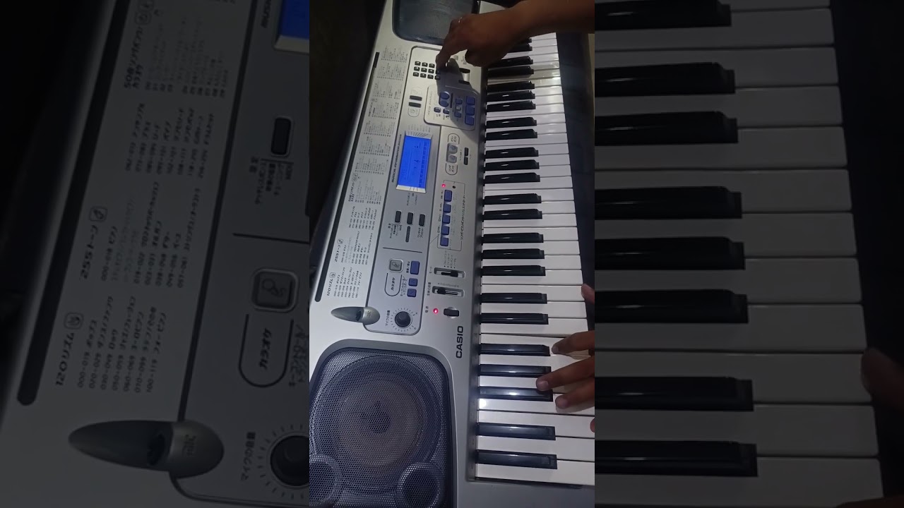 Casio CTK-591 (Touch Response)