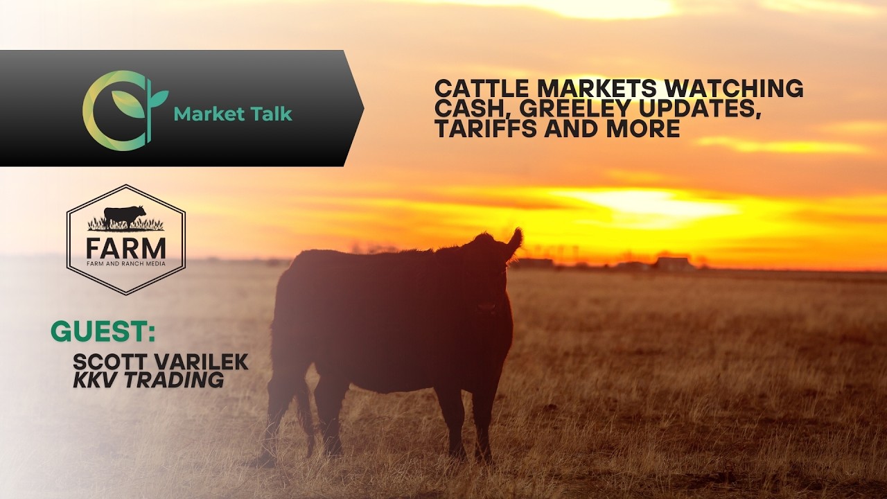 Cattle Markets Watching Cash, Greeley Updates, Tariffs and More