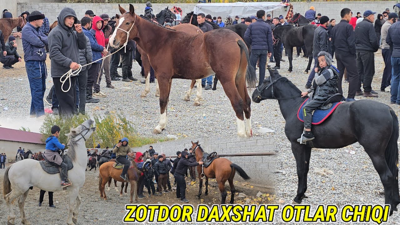 Voy Doddd Andijon Shahrixon bozorida ZOTDOR DAXSHAT OTLAR CHIQI 5 ноября 2025 г.